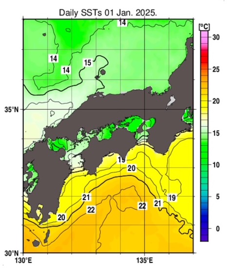 海水温のグラフ